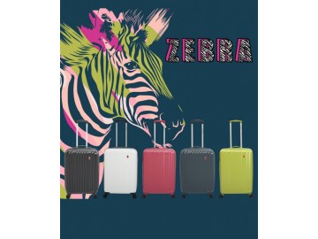 Kompletní barevné spektrum kolekce ZEBRA